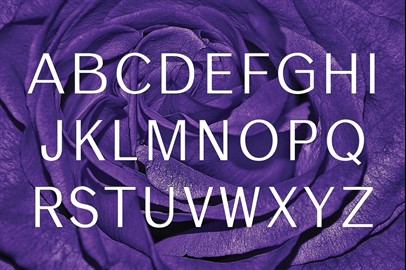 Lila Typeface: A Modern Sans Serif Font