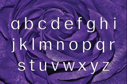 Lila Typeface: A Modern Sans Serif Font