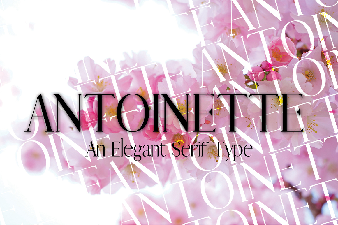 Antoinette Typeface - a Serif Font | Inventicons