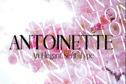 Antoinette Typeface - a Serif Font