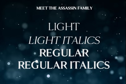 ASSASSIN'S - An Elegant Typeface