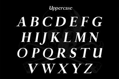 Pirate: A Vintage Serif Typeface