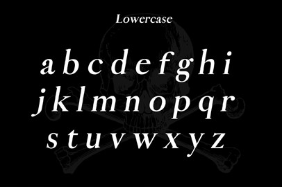 Pirate: A Vintage Serif Typeface