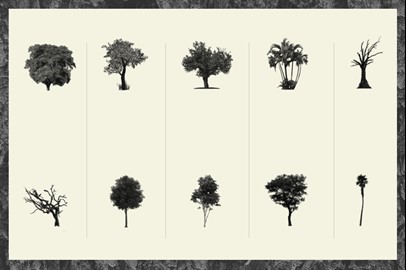 30 Realistic Tree Brushes for Photoshop