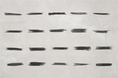 Pack of 249 Photoshop Brushes