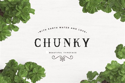 Chunky Typeface