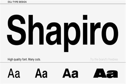 Shapiro Font Family Set