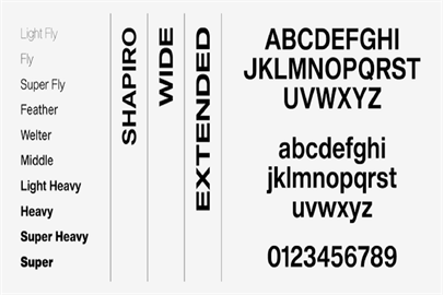 Shapiro Font Family Set